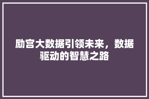 励宫大数据引领未来，数据驱动的智慧之路