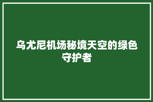 乌尤尼机场秘境天空的绿色守护者