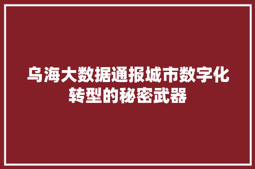乌海大数据通报城市数字化转型的秘密武器