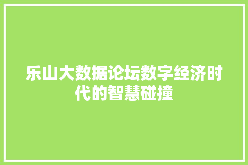 乐山大数据论坛数字经济时代的智慧碰撞