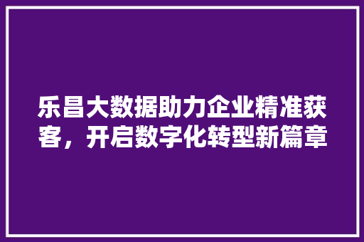 乐昌大数据助力企业精准获客，开启数字化转型新篇章