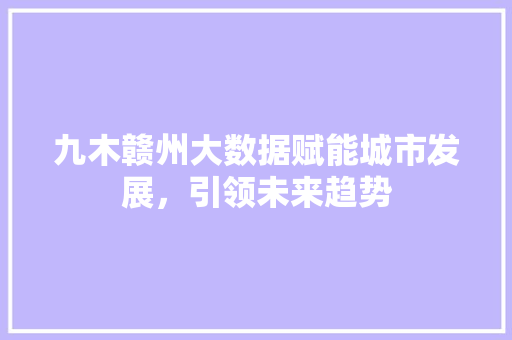 九木赣州大数据赋能城市发展，引领未来趋势