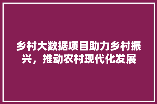 乡村大数据项目助力乡村振兴，推动农村现代化发展