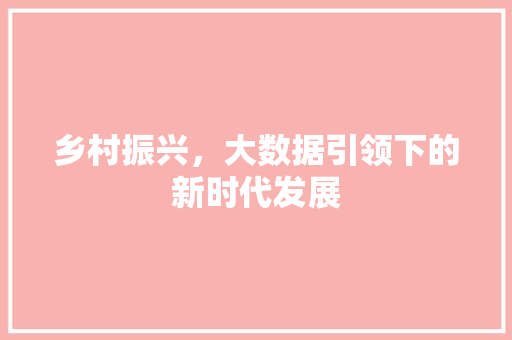 乡村振兴，大数据引领下的新时代发展