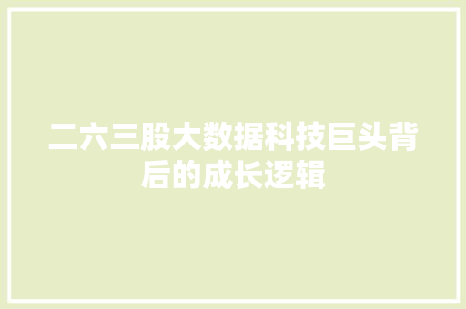 二六三股大数据科技巨头背后的成长逻辑