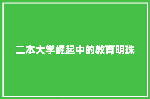 二本大学崛起中的教育明珠