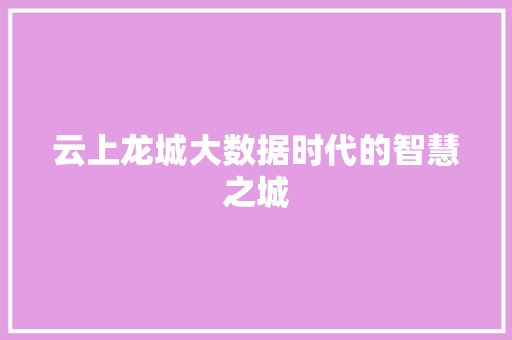 云上龙城大数据时代的智慧之城 云上龙城大数据时代的智慧之城