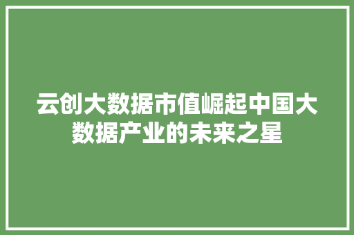 云创大数据市值崛起中国大数据产业的未来之星