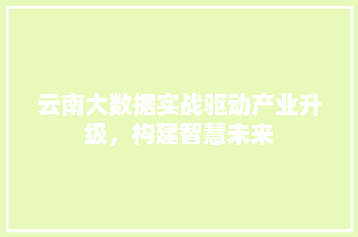 云南大数据实战驱动产业升级，构建智慧未来