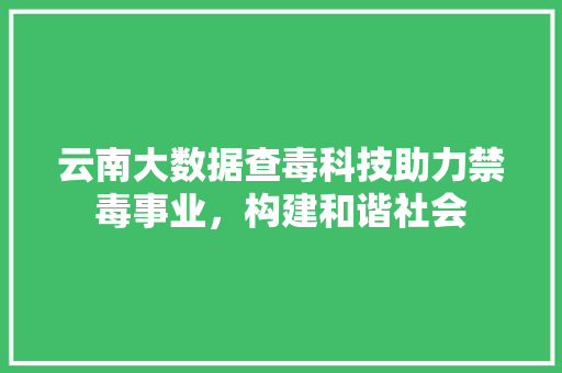 云南大数据查毒科技助力禁毒事业，构建和谐社会
