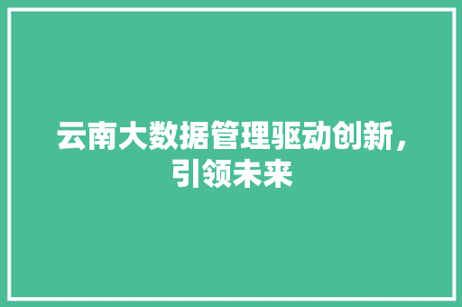 云南大数据管理驱动创新，引领未来