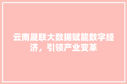 云南晟联大数据赋能数字经济，引领产业变革