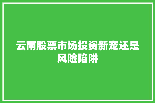 云南股票市场投资新宠还是风险陷阱 云南股票市场投资新宠还是风险陷阱