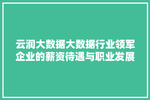 云润大数据大数据行业领军企业的薪资待遇与职业发展 云润大数据大数据行业领军企业的薪资待遇与职业发展