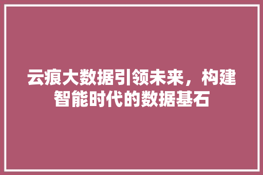 云痕大数据引领未来,构建智能时代的数据基石 云痕大数据引领未来,构建智能时代的数据基石