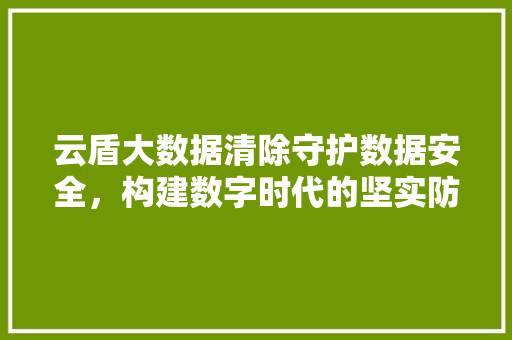 云盾大数据清除守护数据安全，构建数字时代的坚实防线