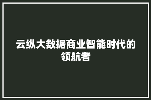 云纵大数据商业智能时代的领航者 云纵大数据商业智能时代的领航者