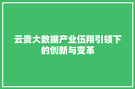 云贵大数据产业伍翔引领下的创新与变革