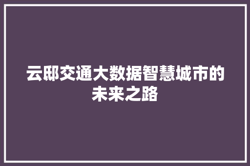 云邸交通大数据智慧城市的未来之路