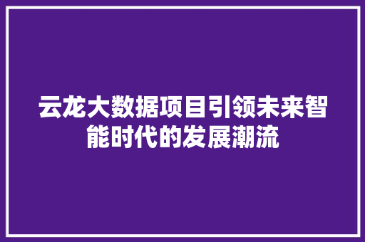 云龙大数据项目引领未来智能时代的发展潮流