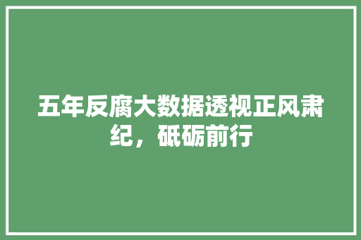 五年反腐大数据透视正风肃纪，砥砺前行
