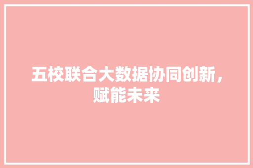 五校联合大数据协同创新，赋能未来