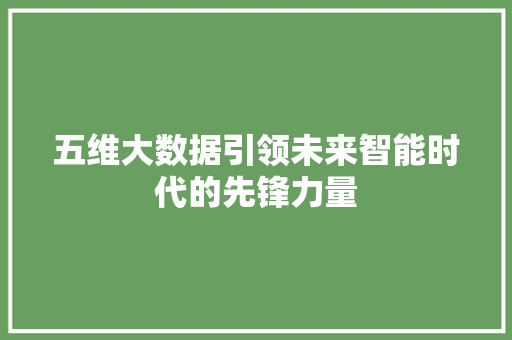 五维大数据引领未来智能时代的先锋力量