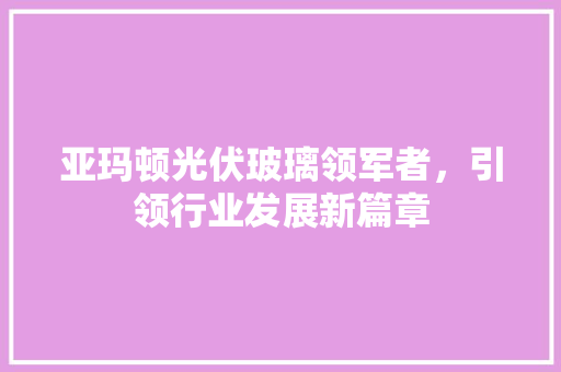 亚玛顿光伏玻璃领军者，引领行业发展新篇章