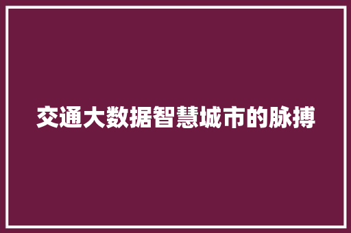 交通大数据智慧城市的脉搏