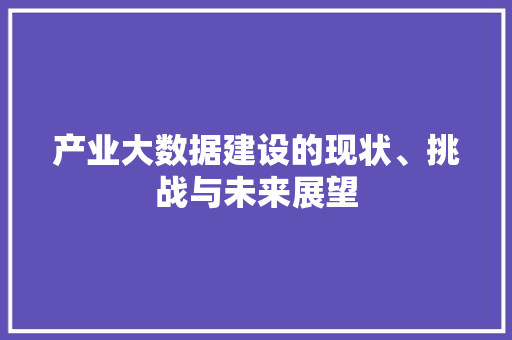 产业大数据建设的现状、挑战与未来展望