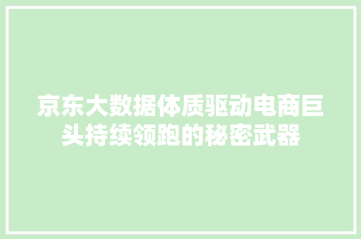 京东大数据体质驱动电商巨头持续领跑的秘密武器