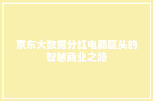 京东大数据分红电商巨头的智慧商业之路