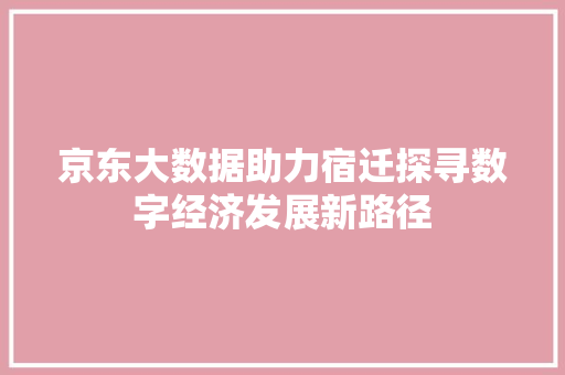 京东大数据助力宿迁探寻数字经济发展新路径 京东大数据助力宿迁探寻数字经济发展新路径
