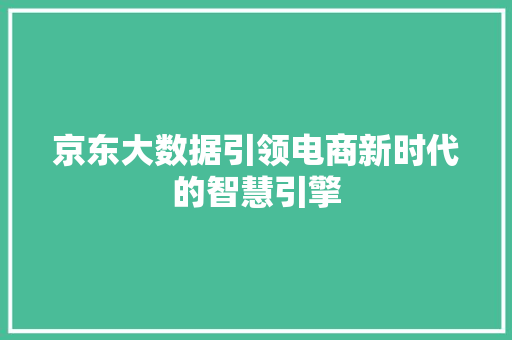 京东大数据引领电商新时代的智慧引擎
