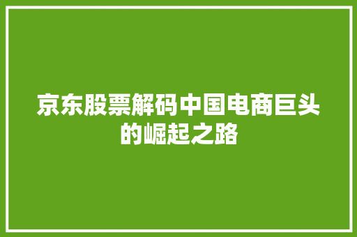 京东股票解码中国电商巨头的崛起之路