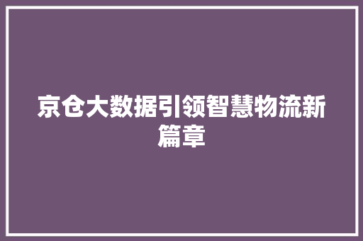 京仓大数据引领智慧物流新篇章