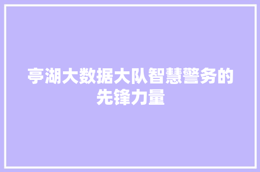 亭湖大数据大队智慧警务的先锋力量