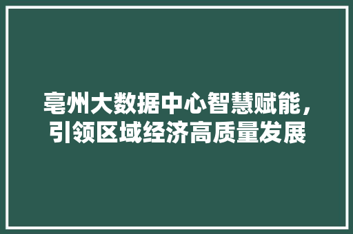 亳州大数据中心智慧赋能,引领区域经济高质量发展 亳州大数据中心智慧赋能,引领区域经济高质量发展