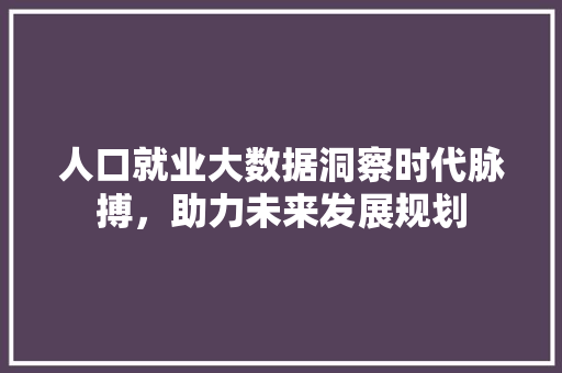 人口就业大数据洞察时代脉搏，助力未来发展规划