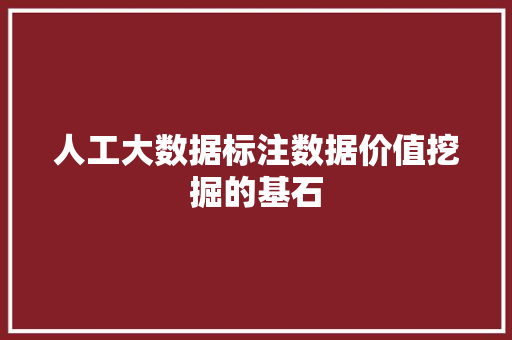 人工大数据标注数据价值挖掘的基石 人工大数据标注数据价值挖掘的基石