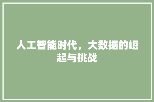 人工智能时代，大数据的崛起与挑战