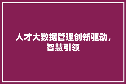 人才大数据管理创新驱动,智慧引领 人才大数据管理创新驱动,智慧引领