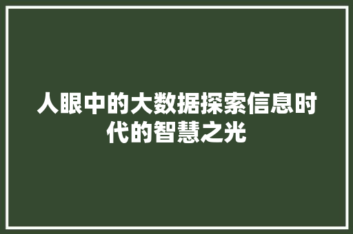 人眼中的大数据探索信息时代的智慧之光