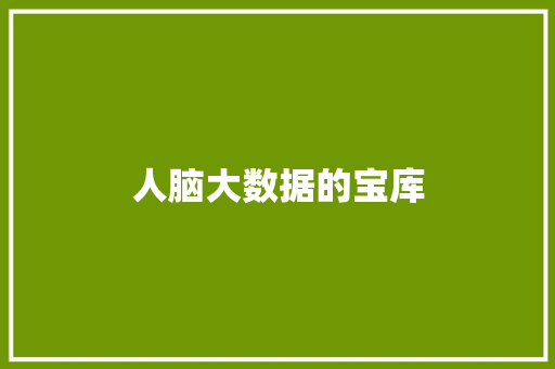 人脑大数据的宝库 人脑大数据的宝库