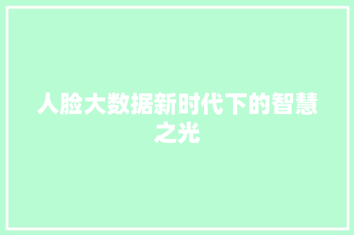 人脸大数据新时代下的智慧之光 人脸大数据新时代下的智慧之光