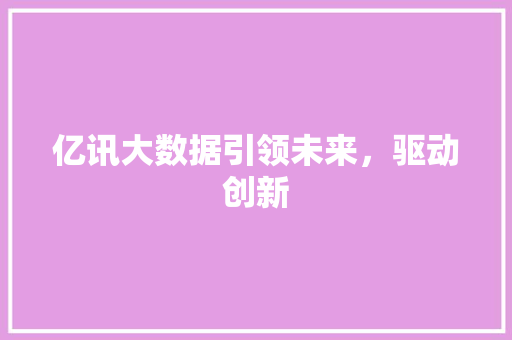 亿讯大数据引领未来，驱动创新