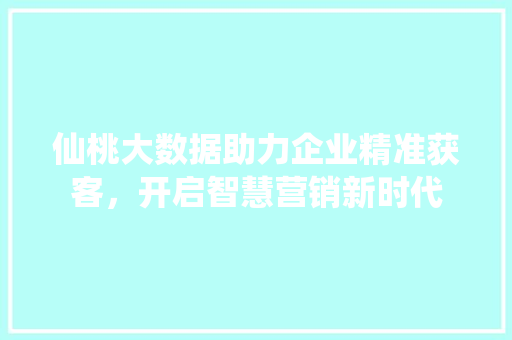 仙桃大数据助力企业精准获客，开启智慧营销新时代