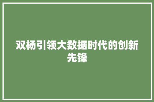 双杨引领大数据时代的创新先锋 双杨引领大数据时代的创新先锋