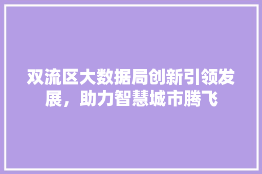 双流区大数据局创新引领发展，助力智慧城市腾飞