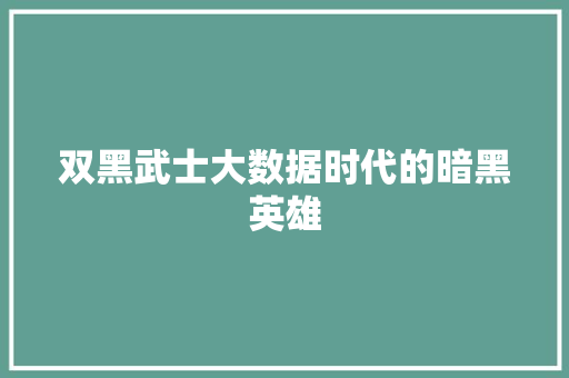 双黑武士大数据时代的暗黑英雄
